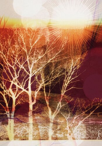 winter trees textile print