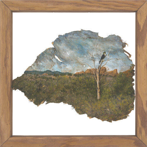 Image of a bird in a natural landscape