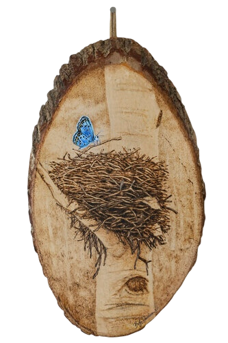 butterfly and nest imagery made on natural materials