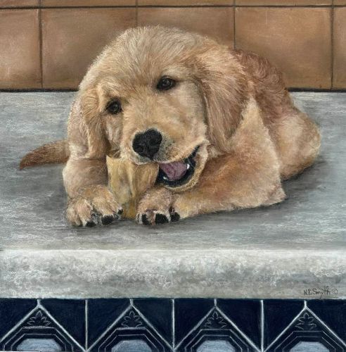 pastel portrait of a golden retriever pup