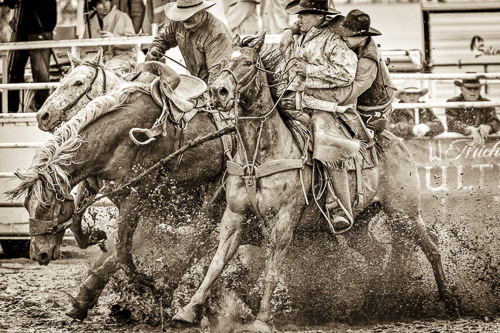 b and w rodeo photo