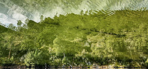 bold green spring landscape photo