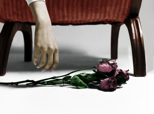 photo of roses and a hand